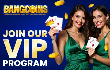Become a VIP to have more fun