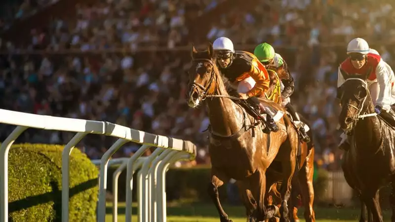 How to bet on horse racing