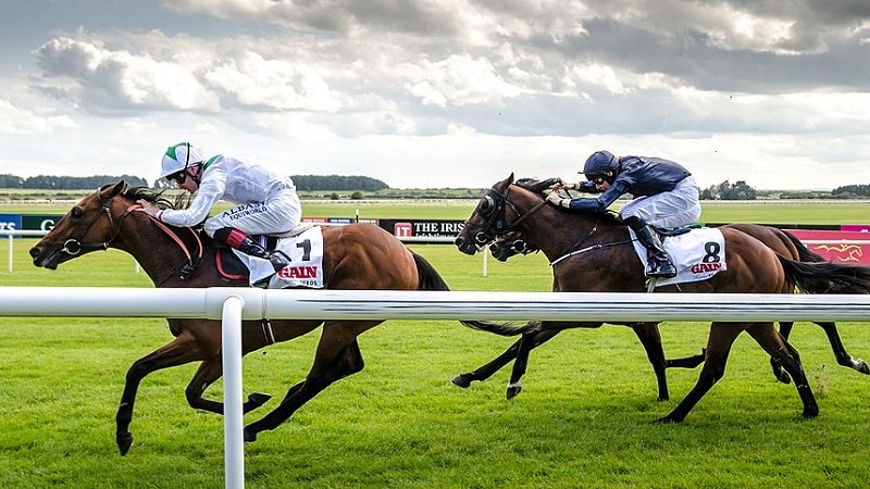 Horseracing Betting Sites