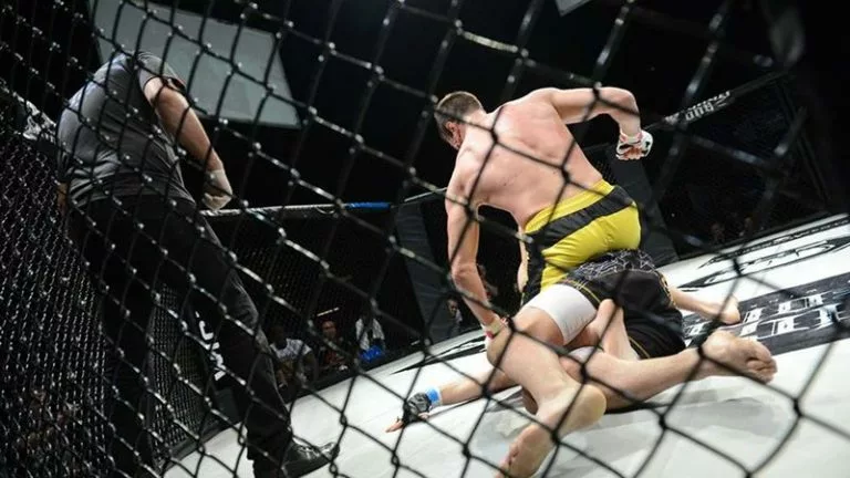 UFC Betting Pros and Cons