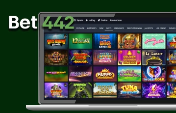 Bet442: Pros and Cons