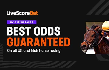 Great betting odds on offer