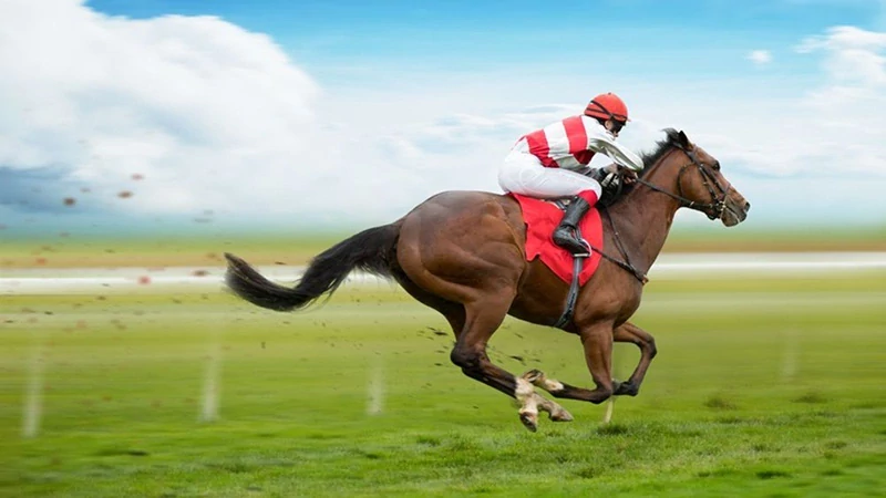 Horseracing Betting Sites