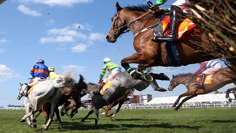 Horseracing Betting Sites