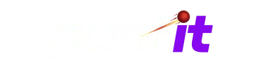 Puntit