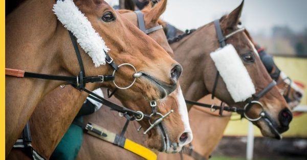 Racecourse Media Group appoints former Camelot CEO as chair