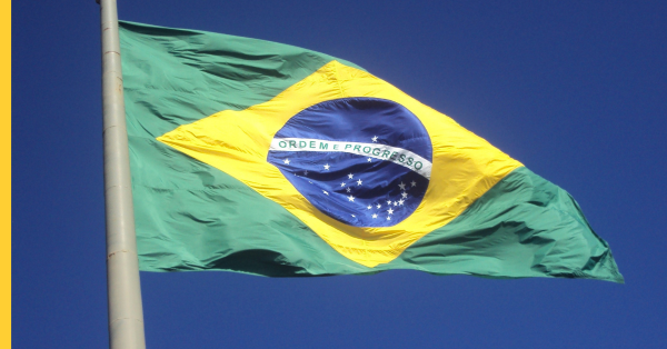Regulus Partners: 5% chance of Brazil ban becoming permanent